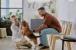 pet hospital CPA